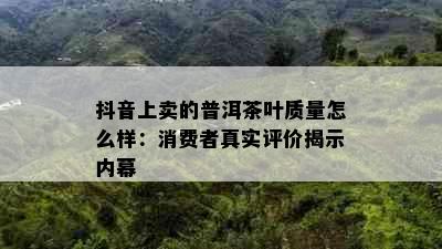 抖音上卖的普洱茶叶质量怎么样：消费者真实评价揭示内幕