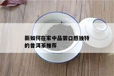 新如何在家中品尝口感独特的普洱茶推荐