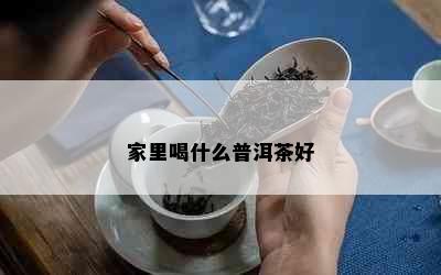 家里喝什么普洱茶好