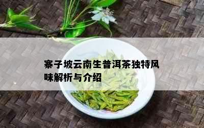 寨子坡云南生普洱茶独特风味解析与介绍