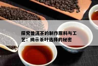 探究普洱茶的制作原料与工艺：揭示茶叶选择的秘密