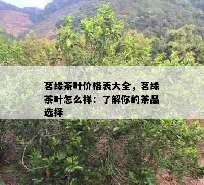 茗缘茶叶价格表大全，茗缘茶叶怎么样：了解你的茶品选择