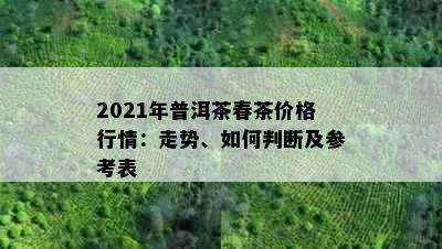 2021年普洱茶春茶价格行情：走势、如何判断及参考表