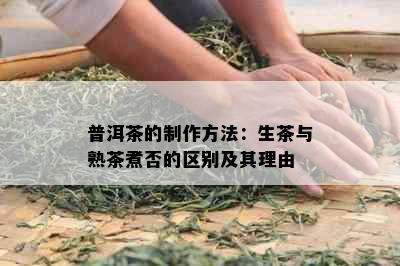 普洱茶的制作方法：生茶与熟茶煮否的区别及其理由