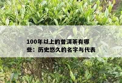 100年以上的普洱茶有哪些：历史悠久的名字与代表