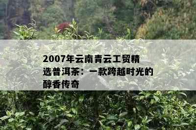 2007年云南青云工贸精选普洱茶：一款跨越时光的醇香传奇