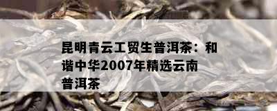 昆明青云工贸生普洱茶：和谐中华2007年精选云南普洱茶