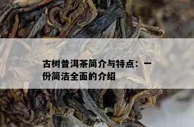 古树普洱茶简介与特点：一份简洁全面的介绍