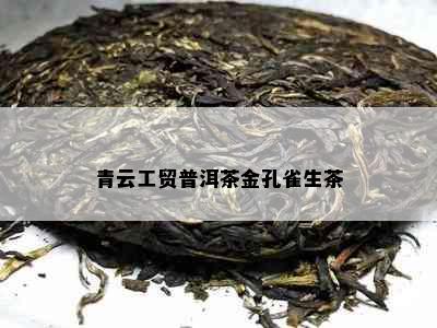 青云工贸普洱茶金孔雀生茶