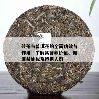 砖茶与普洱茶的全面功效与作用：了解其营养价值、健康益处以及适用人群