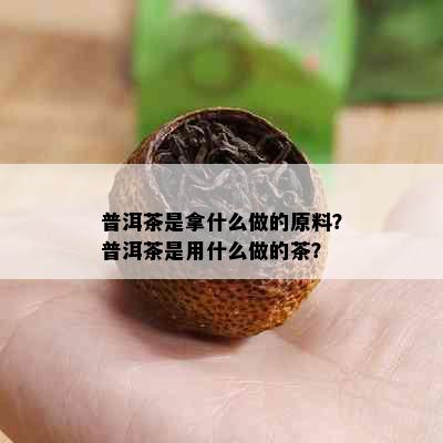 普洱茶是拿什么做的原料？普洱茶是用什么做的茶？