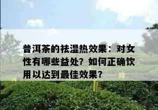 普洱茶的祛湿热效果：对女性有哪些益处？如何正确饮用以达到更佳效果？