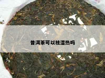 普洱茶可以祛湿热吗