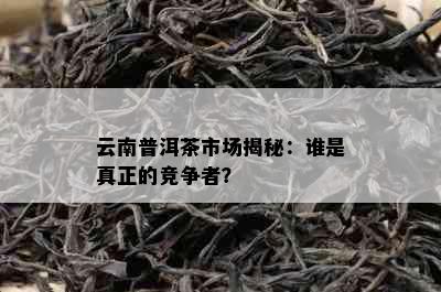 云南普洱茶市场揭秘：谁是真正的竞争者？