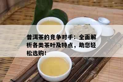 普洱茶的竞争对手：全面解析各类茶叶及特点，助您轻松选购！