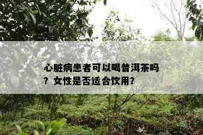 心脏病患者可以喝普洱茶吗？女性是否适合饮用？