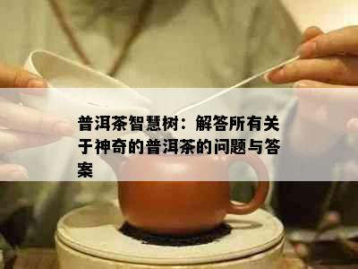 普洱茶智慧树：解答所有关于神奇的普洱茶的问题与答案