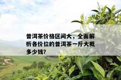 普洱茶价格区间大，全面解析各价位的普洱茶一斤大概多少钱？