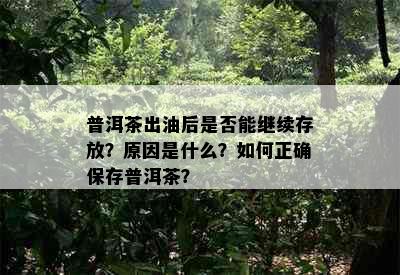 普洱茶出油后是否能继续存放？原因是什么？如何正确保存普洱茶？