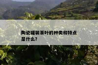 陶瓷罐装茶叶的种类和特点是什么？