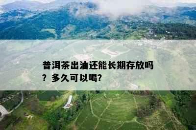 普洱茶出油还能长期存放吗？多久可以喝？