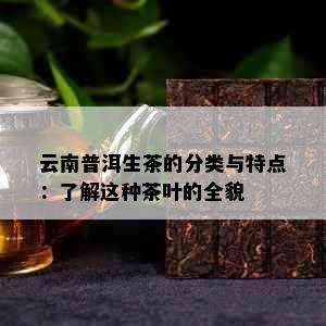 云南普洱生茶的分类与特点：了解这种茶叶的全貌