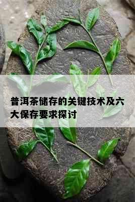 普洱茶储存的关键技术及六大保存要求探讨