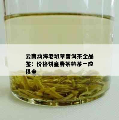 云南勐海老班章普洱茶全品鉴：价格饼皇春茶熟茶一应俱全