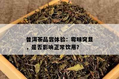 普洱茶品尝体验：霉味突显，是否影响正常饮用？