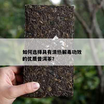 如何选择具有清热解功效的优质普洱茶？