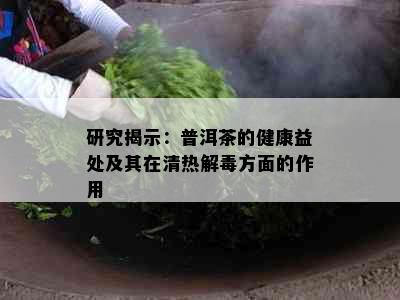 研究揭示：普洱茶的健康益处及其在清热解方面的作用