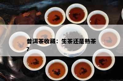 普洱茶收藏：生茶还是熟茶？