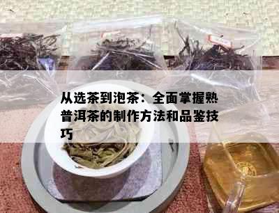 从选茶到泡茶：全面掌握熟普洱茶的制作方法和品鉴技巧