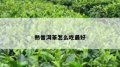 熟普洱茶怎么吃更好