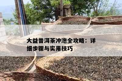 大益普洱茶冲泡全攻略：详细步骤与实用技巧