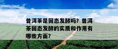 普洱茶是固态发酵吗？普洱茶固态发酵的实质和作用有哪些方面？