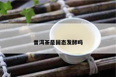 普洱茶是固态发酵吗