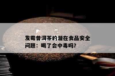 发霉普洱茶的潜在食品安全问题：喝了会中吗？