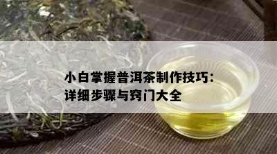 小白掌握普洱茶制作技巧：详细步骤与窍门大全