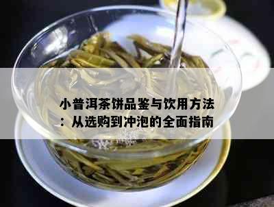 小普洱茶饼品鉴与饮用方法：从选购到冲泡的全面指南