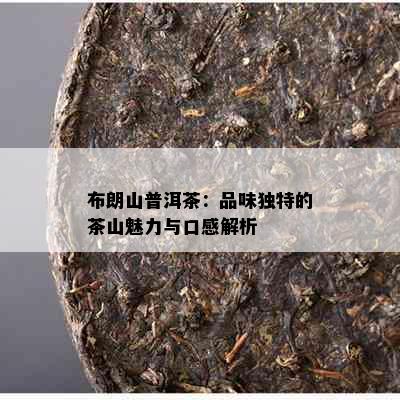 布朗山普洱茶：品味独特的茶山魅力与口感解析