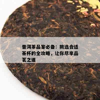 普洱茶品鉴必备：挑选合适茶杯的全攻略，让你尽享品茗之道