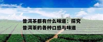 普洱茶都有什么味道：探究普洱茶的各种口感与味道