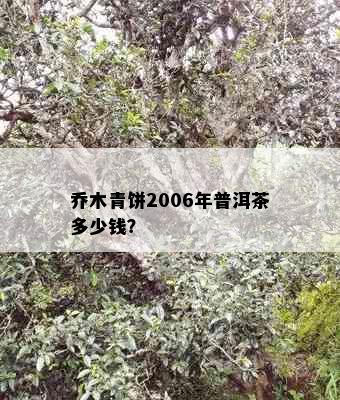 乔木青饼2006年普洱茶多少钱？