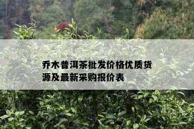 乔木普洱茶批发价格优质货源及最新采购报价表