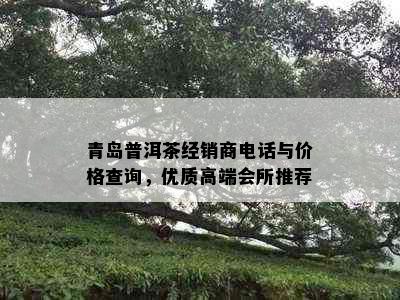 青岛普洱茶经销商电话与价格查询，优质高端会所推荐