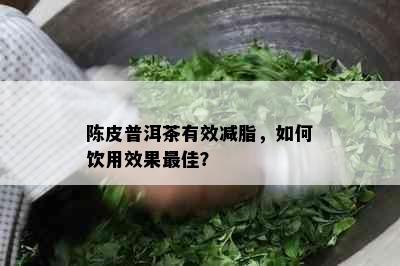 陈皮普洱茶有效减脂，如何饮用效果更佳？