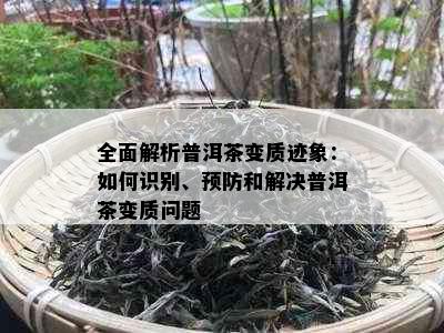 全面解析普洱茶变质迹象：如何识别、预防和解决普洱茶变质问题