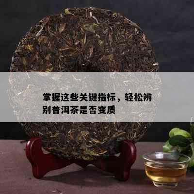 掌握这些关键指标，轻松辨别普洱茶是否变质