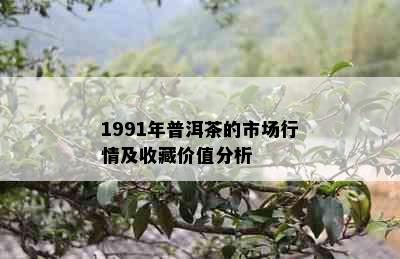 1991年普洱茶的市场行情及收藏价值分析